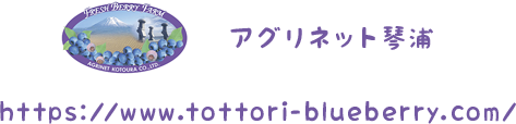 アグリネット琴浦https://www.tottori-blueberry.com/